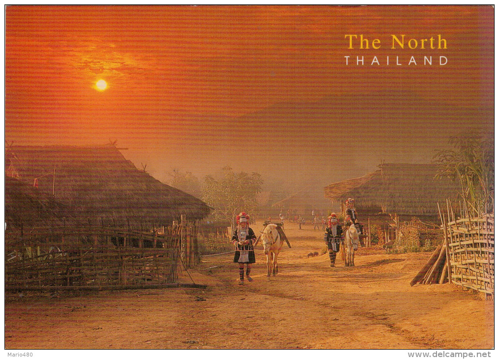 THE NORTH  THAILAND   HILLTRIBE  VILLAGE  CHIANG RAI     (VIAGGIATA) - Tailandia