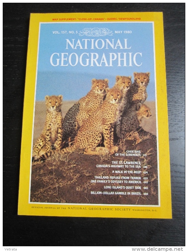 NATIONAL GEOGRAPHIC Vol. 157, N°5 1980 :  Cheetahs Of The Serengeti - The St Lawrence - Thailand - Long Island - Geography