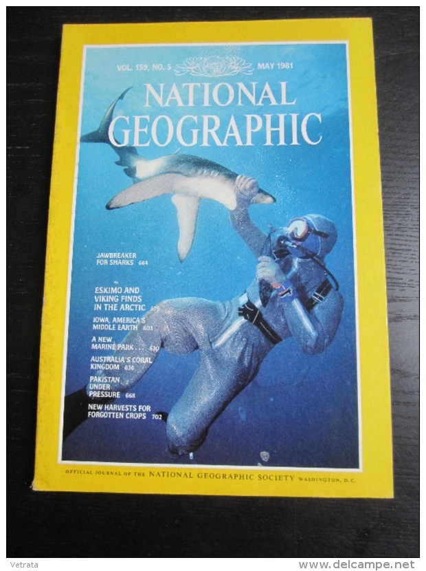 NATIONAL GEOGRAPHIC Vol. 159, N°5 1981 :  Eskimo And Viking In The Arctic - Geography