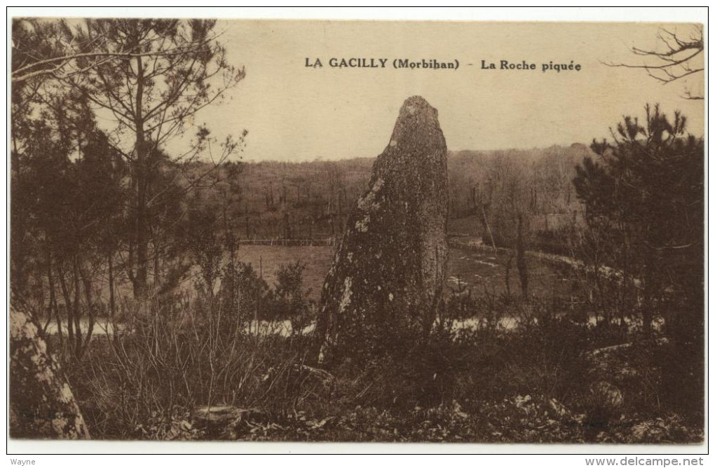 CPA - 56 - Morbihan - La Gacilly - La Roche Piquée - La Gacilly