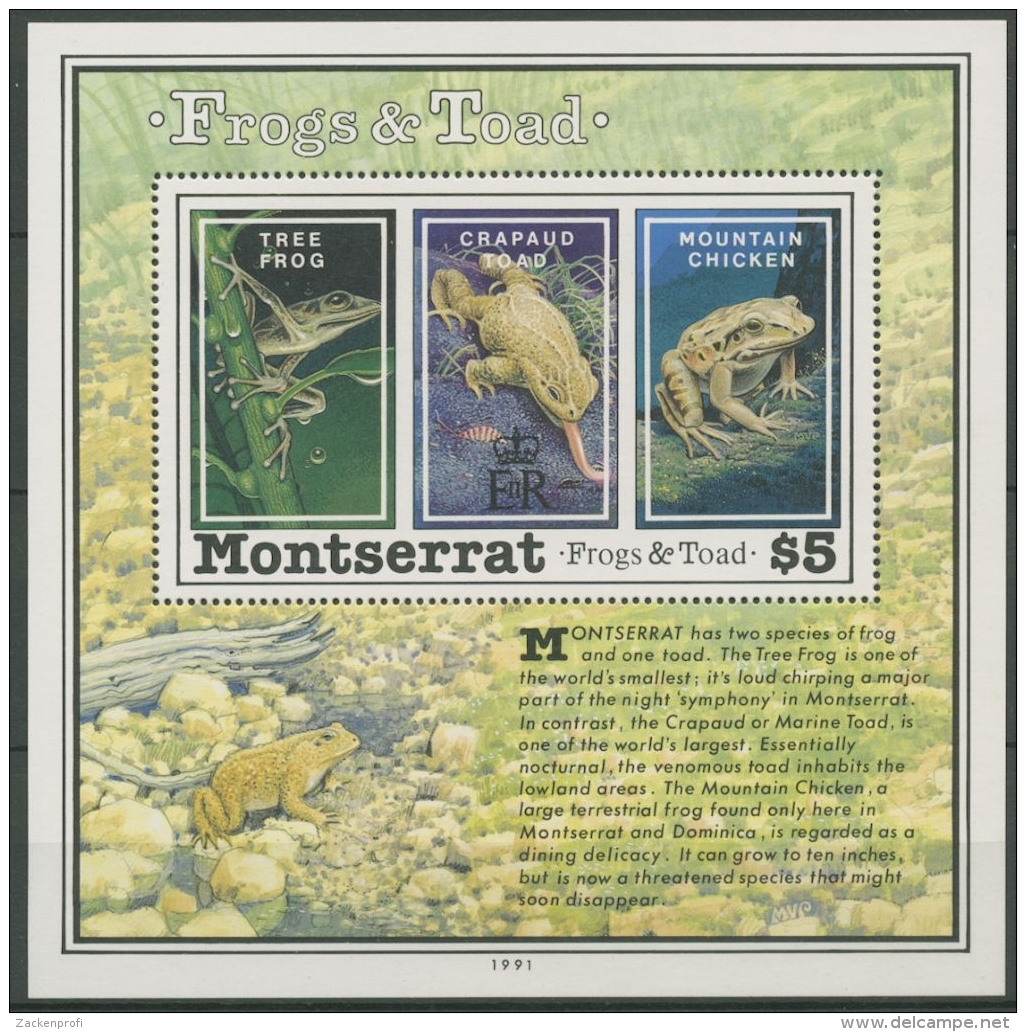 Montserrat 1991 Frösche Und Kröten Block 61 Postfrisch (C12582) - Montserrat