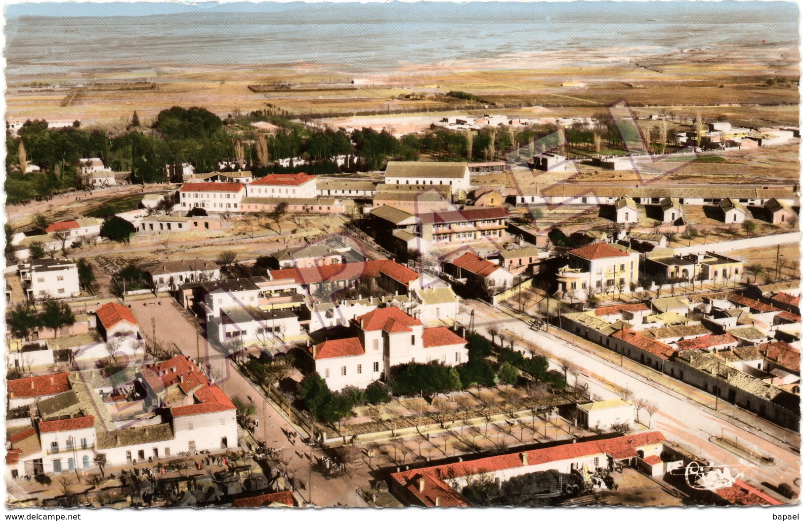 Djelfa Du Titteri (Algérie) - Centre De La Ville - Vue Aérienne - Djelfa