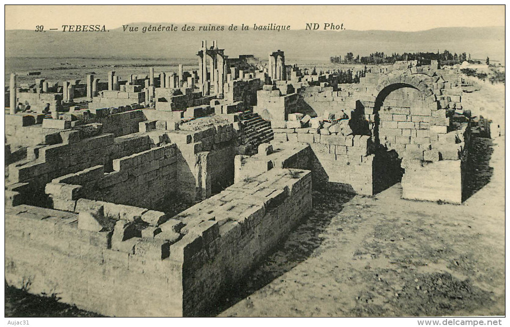 Algérie - Tébessa - Vue Générale Des Ruines De La Basilique - Bon état - Tebessa