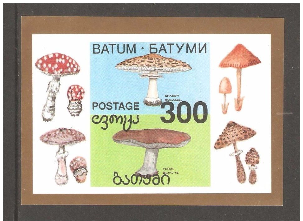 BATUM  Mushrooms - Champignons