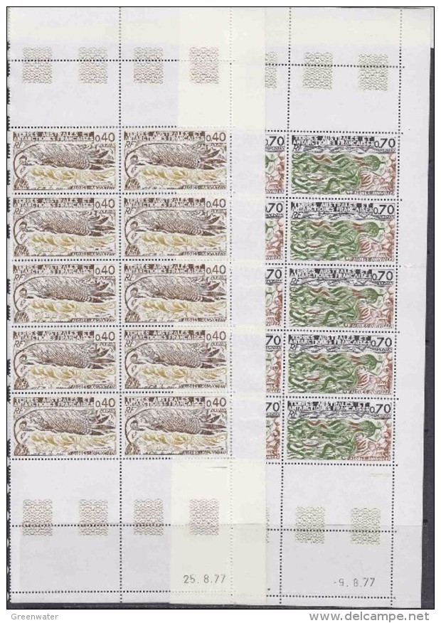 TAAF 1977 Algues 2v Strip Of 10  (printing Date) ** Mnh (TA196C) - Ongebruikt