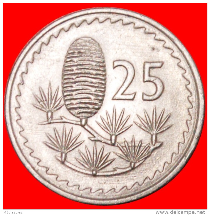 * ERROR. CEDAR Of LEBANON (1963-1982): CYPRUS  25 MILS 1979! LOW START   NO RESERVE! - Abarten Und Kuriositäten