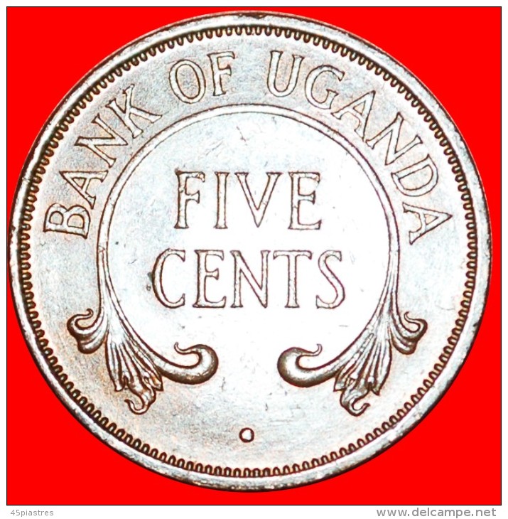 § TUSKS: UGANDA &#9733; 5 CENTS 1966! LOW START  &#9733; NO RESERVE! - Ouganda