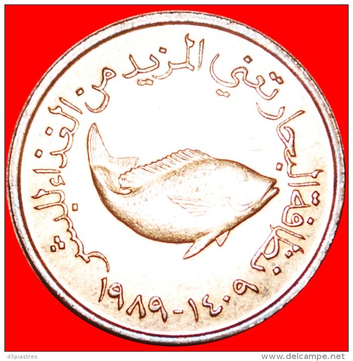 § FISH FAO: UNITED ARAB EMIRATES &#9733; 5 FILS 1409 - 1989! LOW START  &#9733; NO RESERVE! - Ver. Arab. Emirate