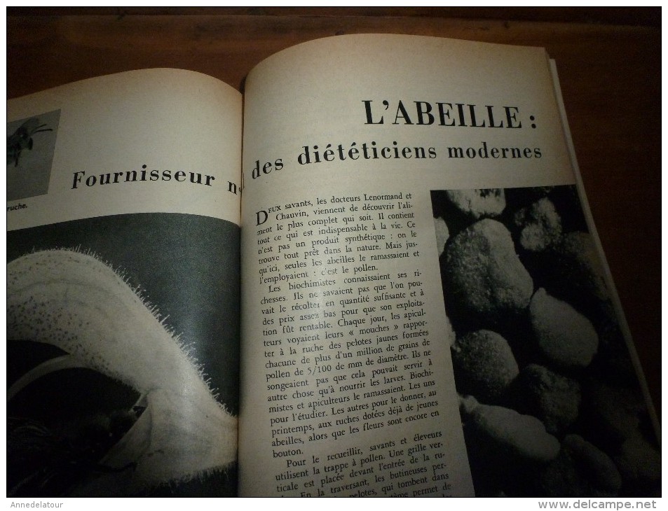 1957 SCIENCE et VIE n° 476 :Titres : voir SOMMAIRE en 2e photo : Le YOGA hindou; Miracle du pollen des abeilles..etc