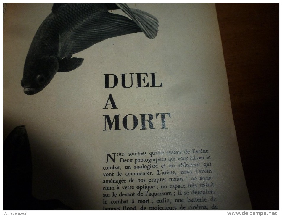 1957 SCIENCE et VIE n° 473:Titres :voir SOMMAIRE  2e photo :SAHARA-Pétrole; EDF-La Rance; Liederhalle de Stuttgart..etc