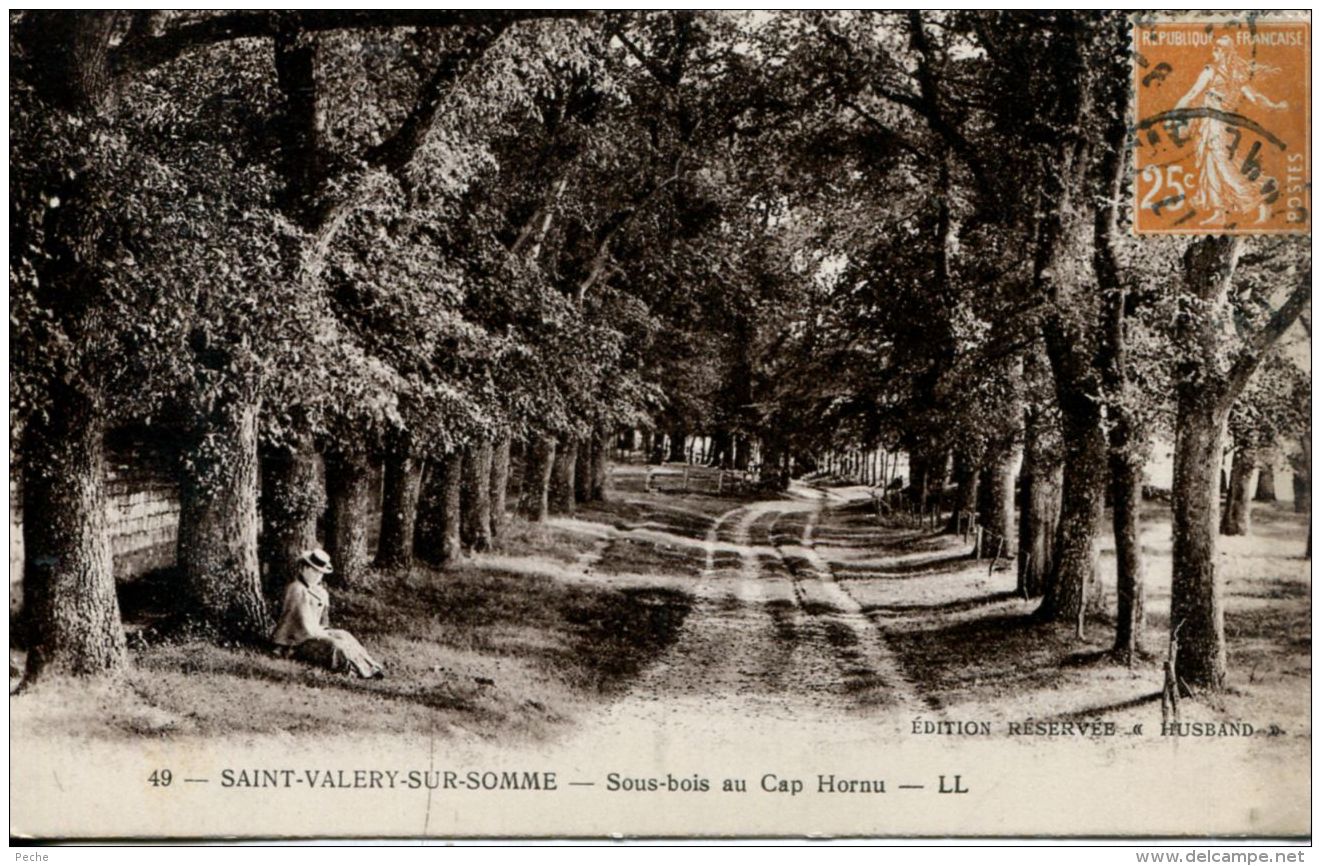 N°50261 -cpa Saint Valery Sur Somme -sous Bois Au Cap Hornu- - Saint Valery Sur Somme