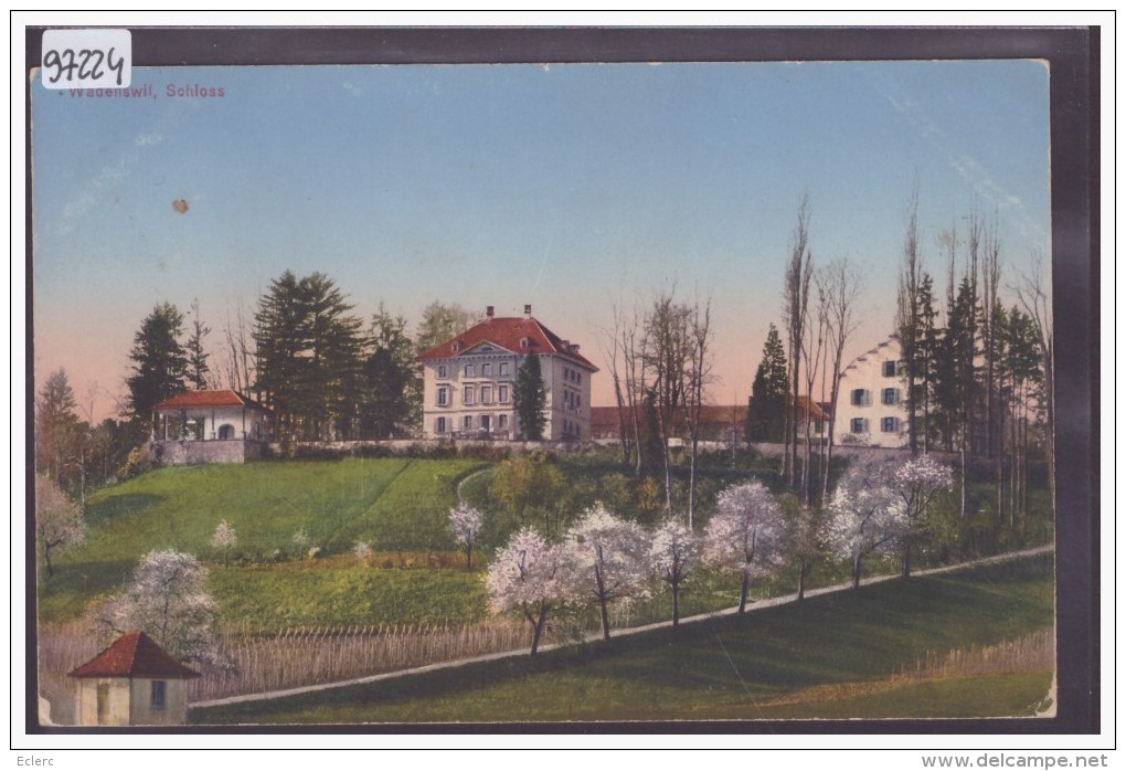 WÄDENSWIL - SCHLOSS - TB - Wädenswil