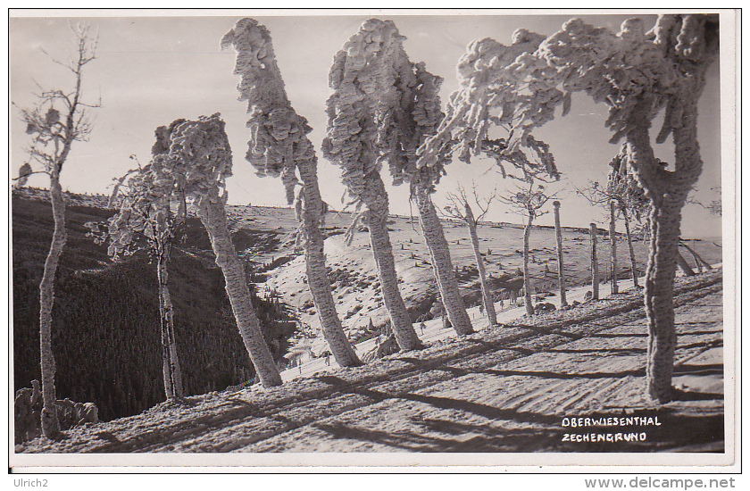 AK Oberwiesenthal - Zechengrund - Winter - 1930  (23993) - Oberwiesenthal