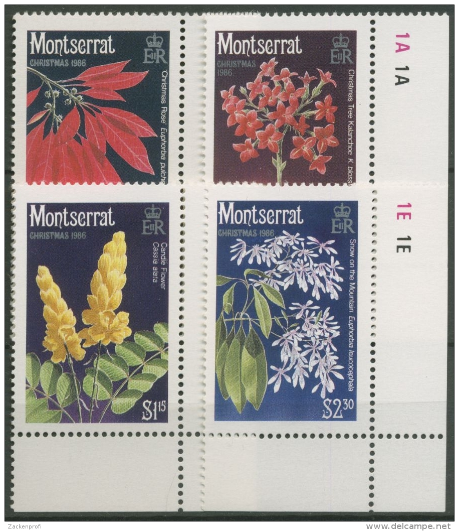 Montserrat 1986 Weihnachten Blüten 662/65 A Postfrisch - Montserrat