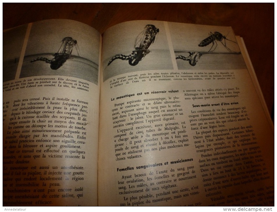 1956 SCIENCE et VIE n° 466: SOMMAIRE en  2e photo :Lutte PANTHERE-CHIEN;Marseille;KABOUKI au Japon;75 volcans en Amériq