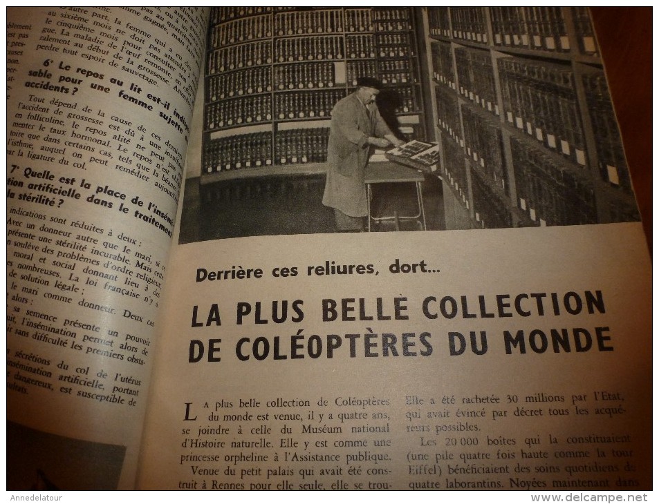 1956 SCIENCE Et VIE --->SOMMAIRE En  2e Photo  Et: La Plus Belle Collection De Coléoptères Du Monde; Jouets De 1956..etc - Science