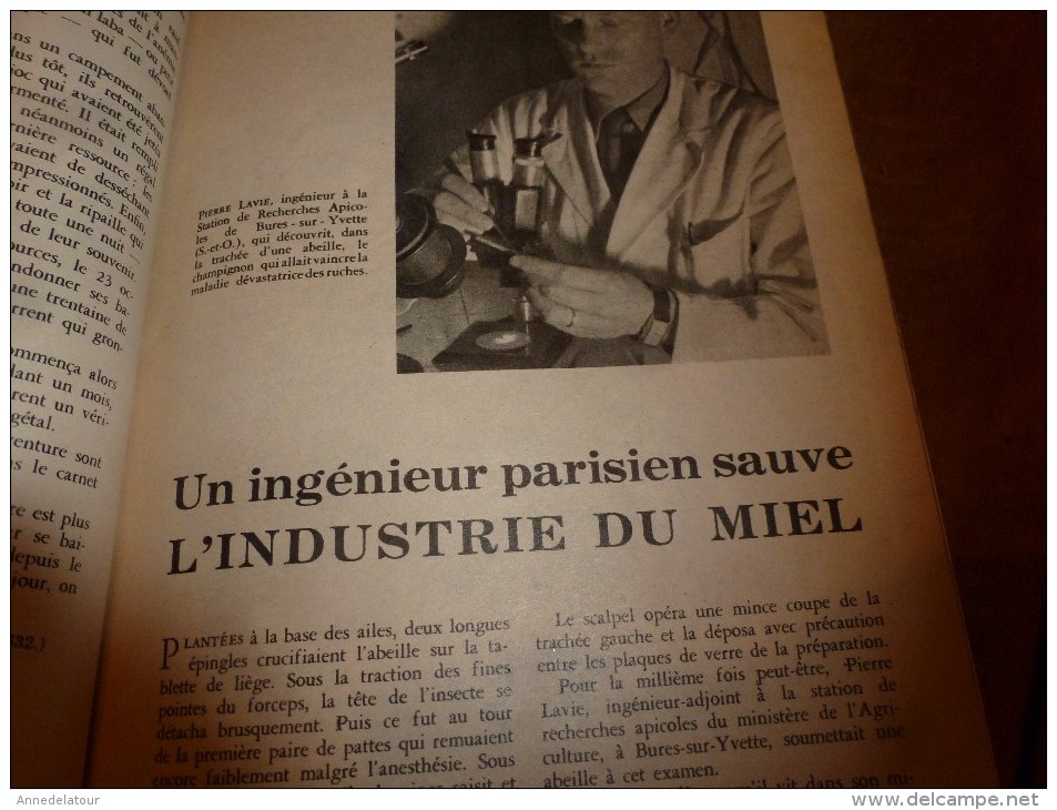 1954 SCIENCE et VIE --->SOMMAIRE en  2e photo  et: Les JUIFS noirs; Après la catastrophe d'Orléanville; CARAVELLE..etc