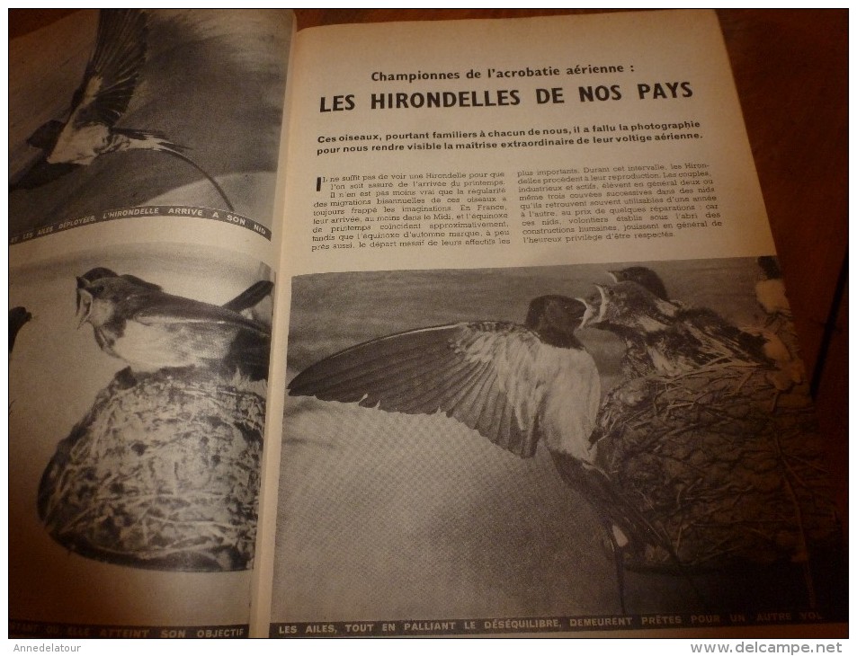 1954 SCIENCE Et VIE --->SOMMAIRE En  2e Photo  Et: FAUSTO COPPI Fabuleux Champion ;Les Autos Miniatures; Cotentin...etc - Wissenschaft