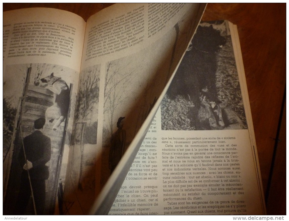 1954 SCIENCE Et VIE --->SOMMAIRE En  2e Photo  Et: Le Dressage Des CHIENS De GARDE ; Eau Oxygénée Et énergie Atomique - Science