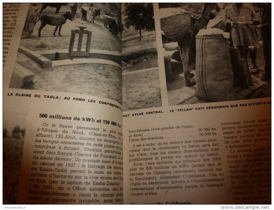 1954 SCIENCE et VIE --->SOMMAIRE en  2e photo  et: MAROC (Tadla,Fquih-ben-Salah,Bin-el-Ouidane); Etretat; Huitres nacre