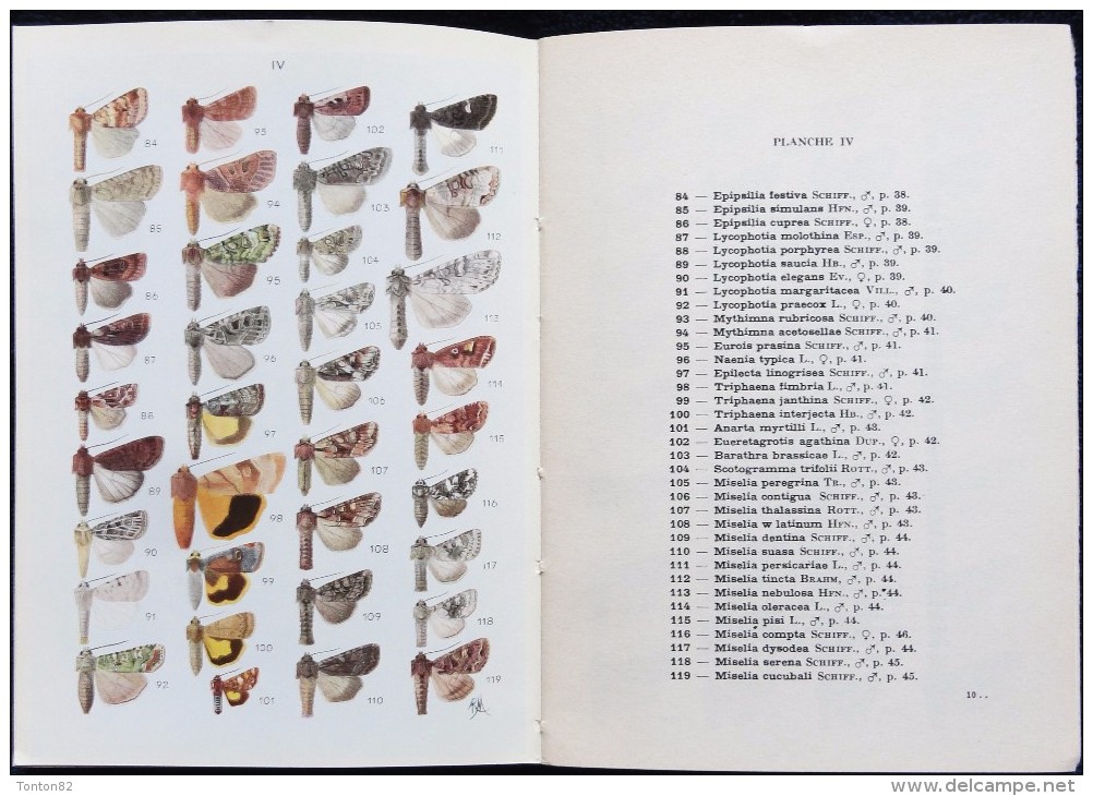 Nouvel Atlas D´Entomologie - Lépidoptères De France - N° 6 Fascicule II -  Éditions N. Boubée & Cie. - ( 1967 ) . - Wissenschaft