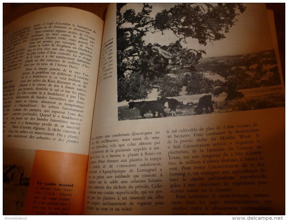 1955 SCIENCE et VIE --->SOMMAIRE en  2e photo  et:  Notre avenir atomique; Cognac et Whisky; Elever so enfant..etc