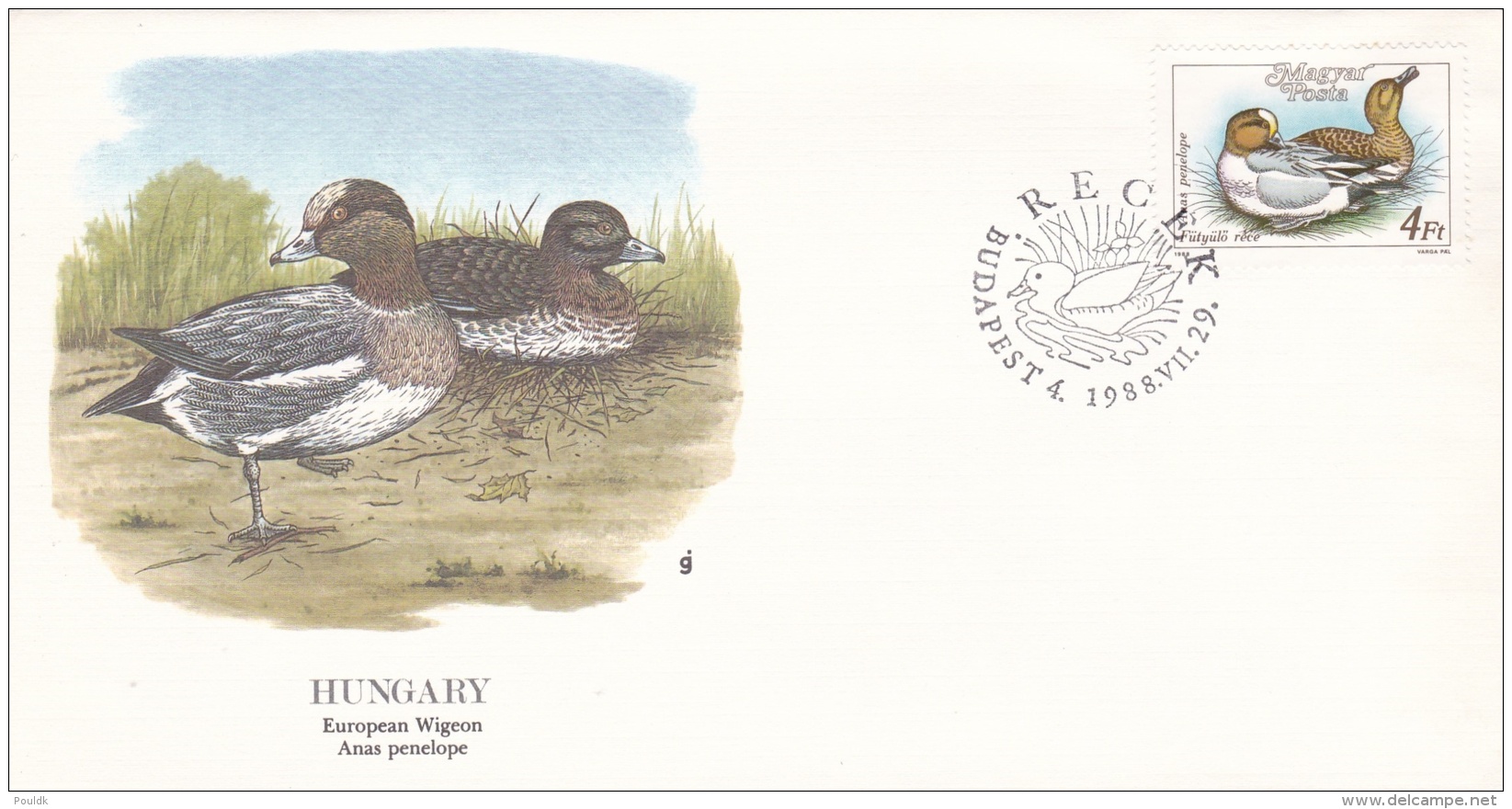 Hungary FDC 1988 European Wigeon (G82-79) - Sonstige & Ohne Zuordnung