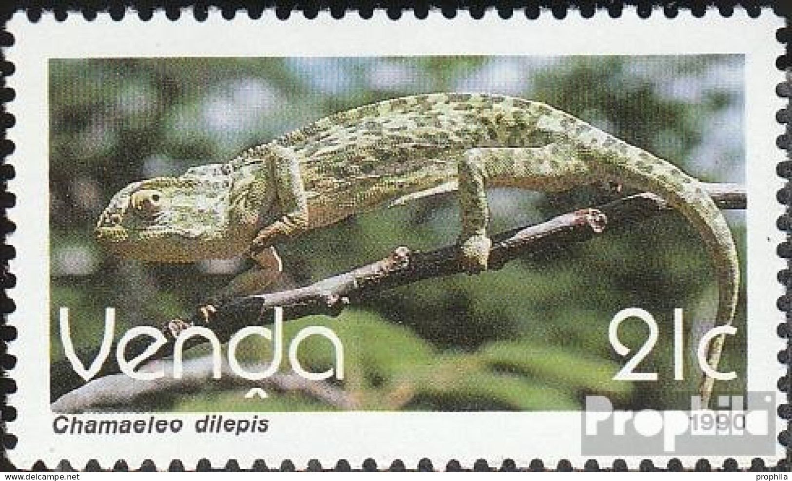 Südafrika - Venda 208 (kompl.Ausg.) Postfrisch 1990 Freimarke: Reptilien - Venda