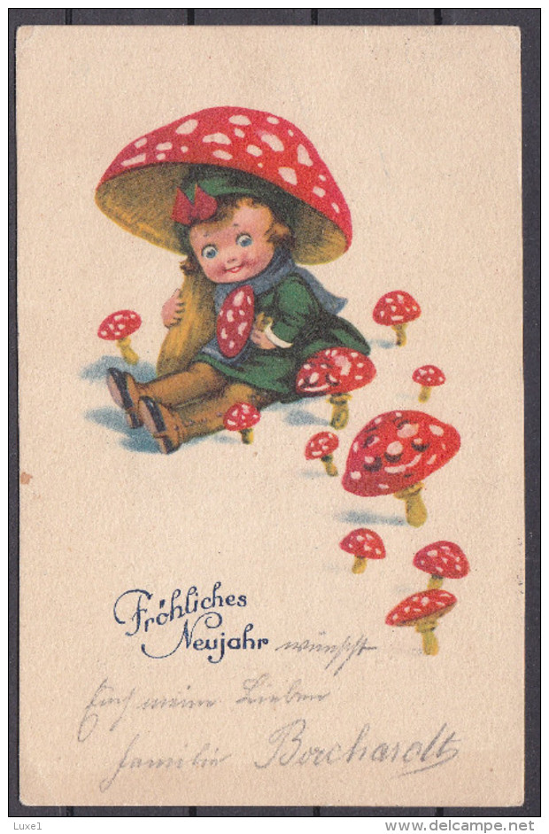 MUSHROOM ,  OLD  POSTCARD - Funghi