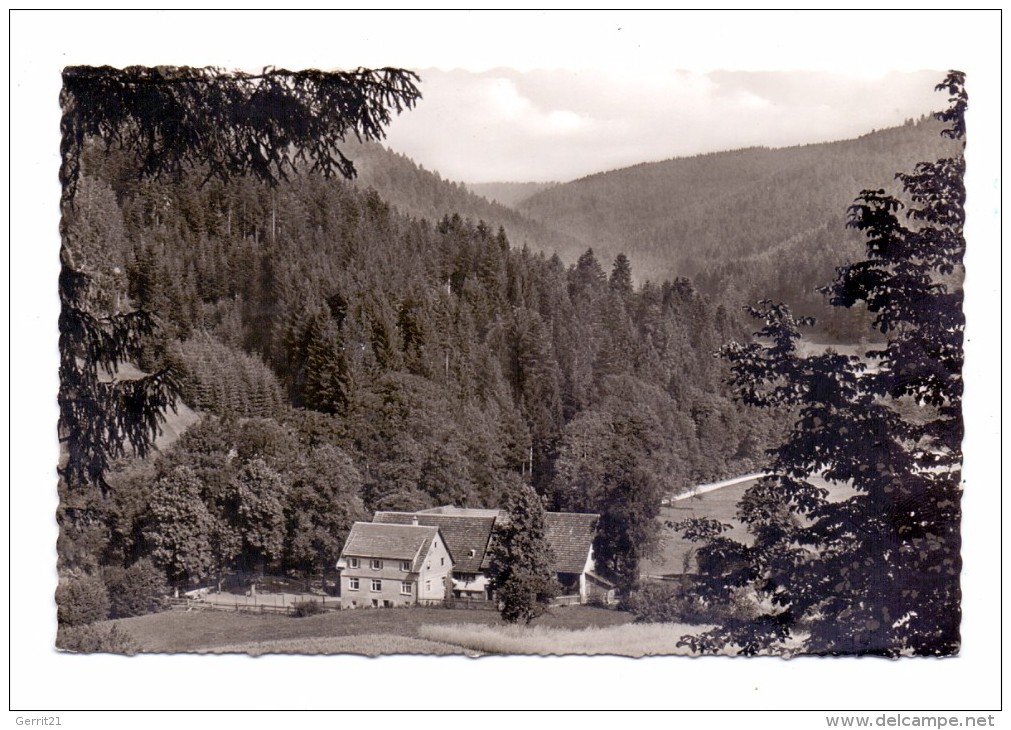 7297 ALPIRSBACH - EHLENBOGEN, Mittlere Mühle - Alpirsbach