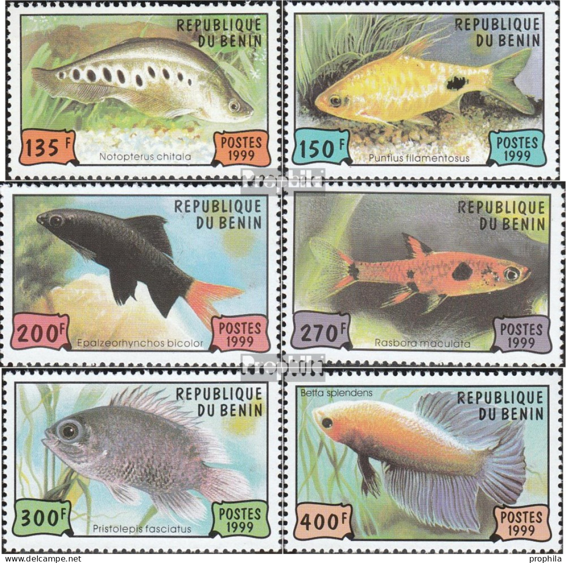 Benin 1163-1168 (kompl.Ausg.) Postfrisch 1999 Aquarienfische - Other & Unclassified