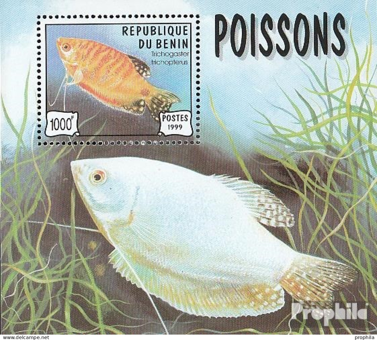 Benin Block49 (kompl.Ausg.) Postfrisch 1999 Aquarienfische - Other & Unclassified