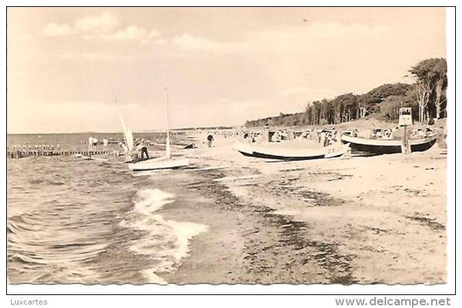 OSTSEEBAD GRAAL MÜRITZ. AM STRAND. - Graal-Müritz