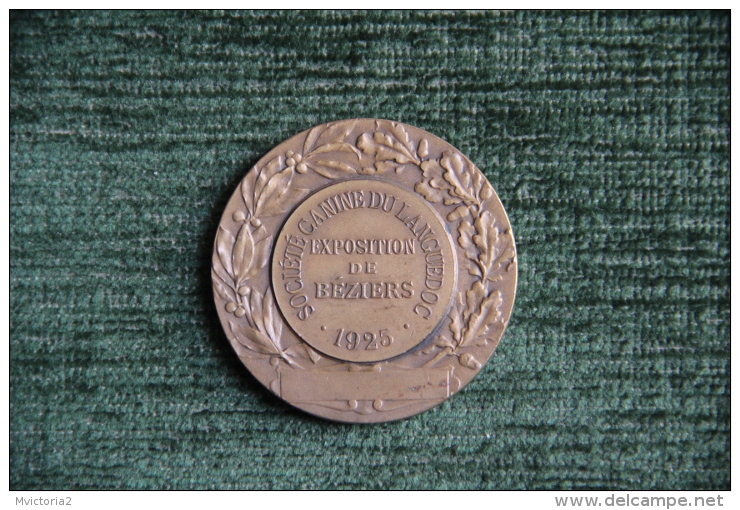 Médaille De Société Canine Du LANGUEDOC - Chasse - Exposition De BEZIERS - 1925 - Professionnels / De Société