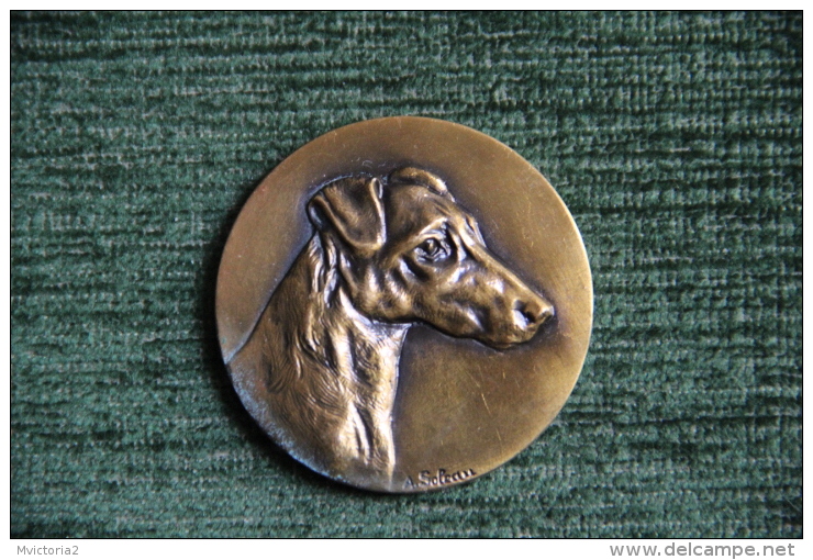 Médaille De  Tête De Chien, Graveur SOLEAU - Other & Unclassified