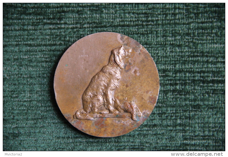 Médaille De Chien De Chasse Avec Un Faisan - Professionnels / De Société