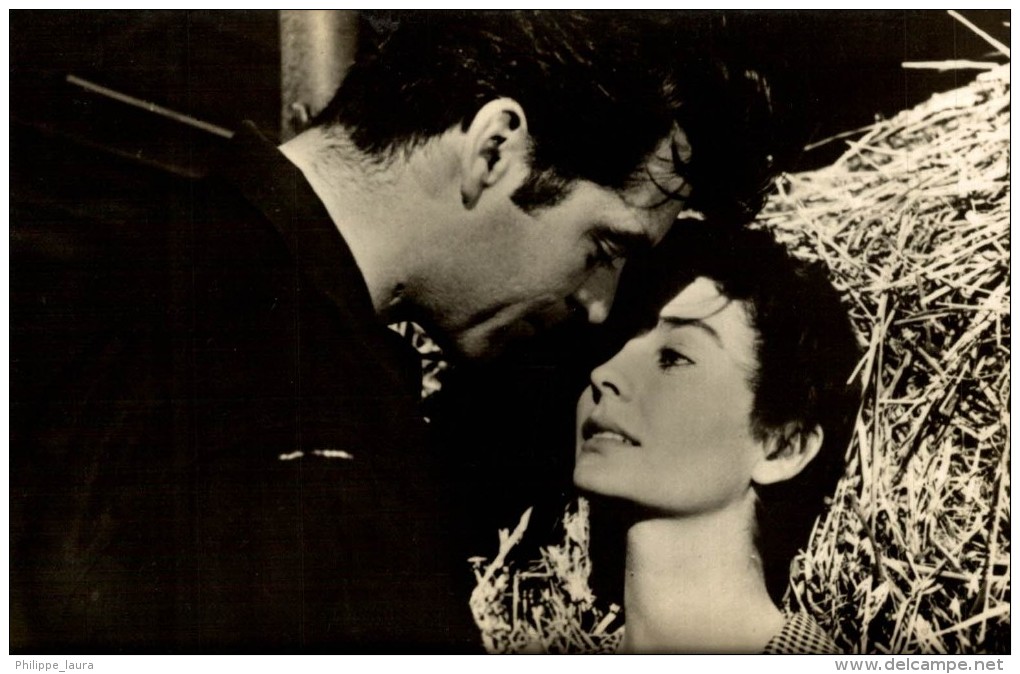 JEAN SIMMONS Y RORY CALHOUN FOTO COLUMBIA - Actores