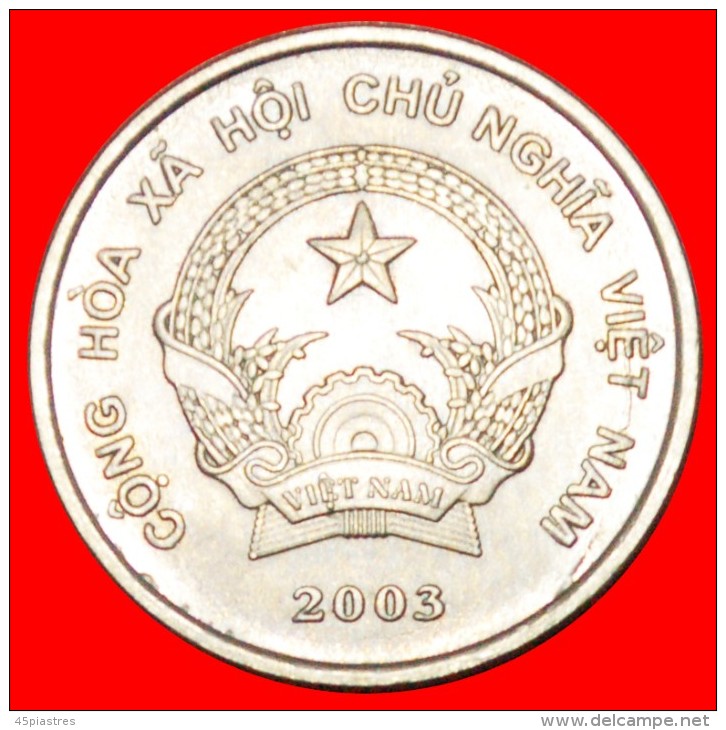 § STAR: VIETNAM &#9733; 200 DONG 2003! LOW START &#9733; NO RESERVE! - Viêt-Nam