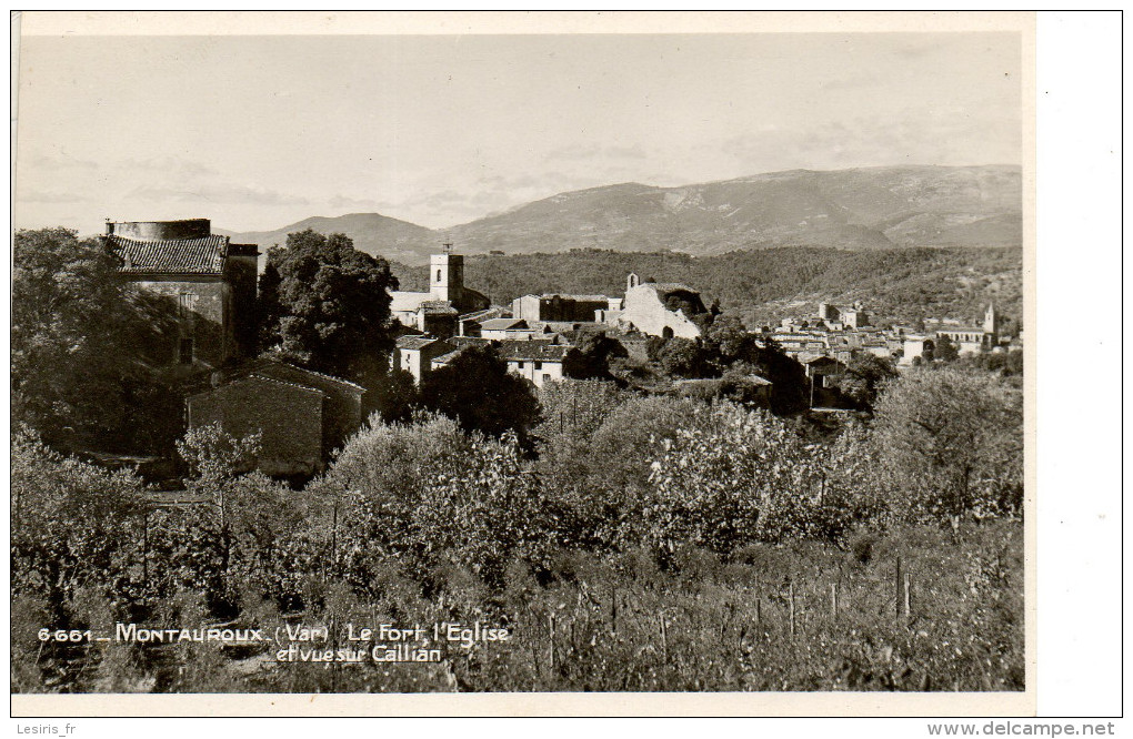 CP - - PHOTO - MONTAUROUX - LE FORT - L'EGLISE ET VUE SUR CALLIAN - 6661 - LA CIGOGNE -  7061 - Montauroux