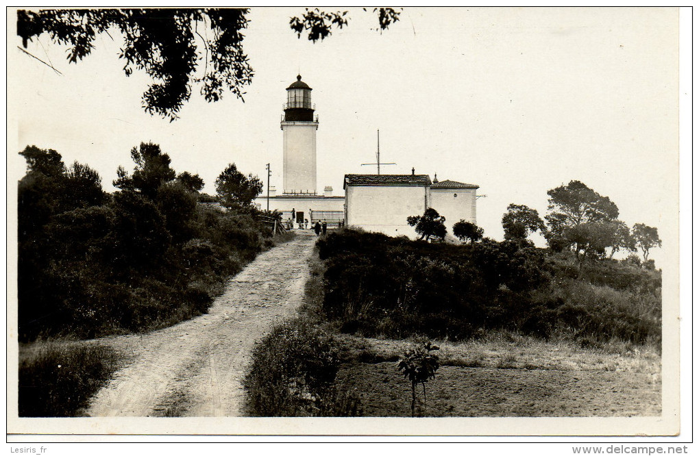 CP - PHOTO - ST TROPEZ - LE PHARE DU CAP CAMARAT - 59 - ROBINI - Saint-Tropez