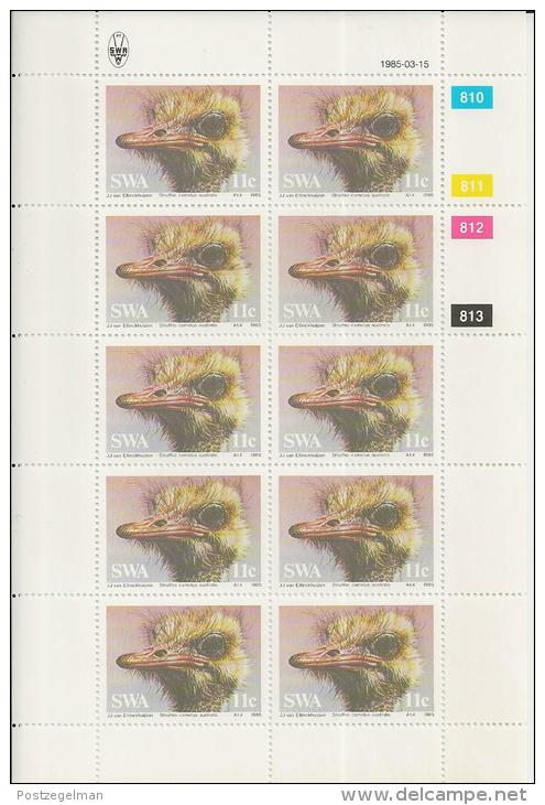 SOUTH WEST AFRICA, 1985, Full Sheets Of 10 Stamps, Birds (Ostrich),  Nrs. 566-569 - South West Africa (1923-1990)