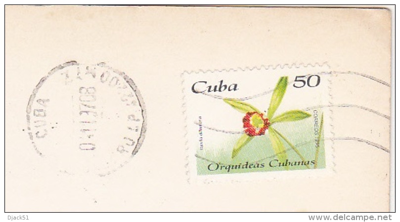 Timbre / Stamp / Cuba / Collé Sur Carte Postale : La Habana / 1995 / Fleur - Usati