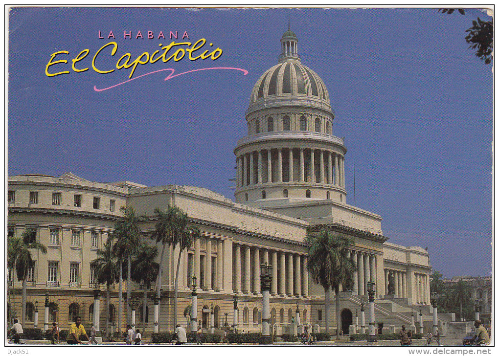 Timbre / Stamp / Cuba / Collé Sur Carte Postale : La Habana / 1995 / Fleur - Usati