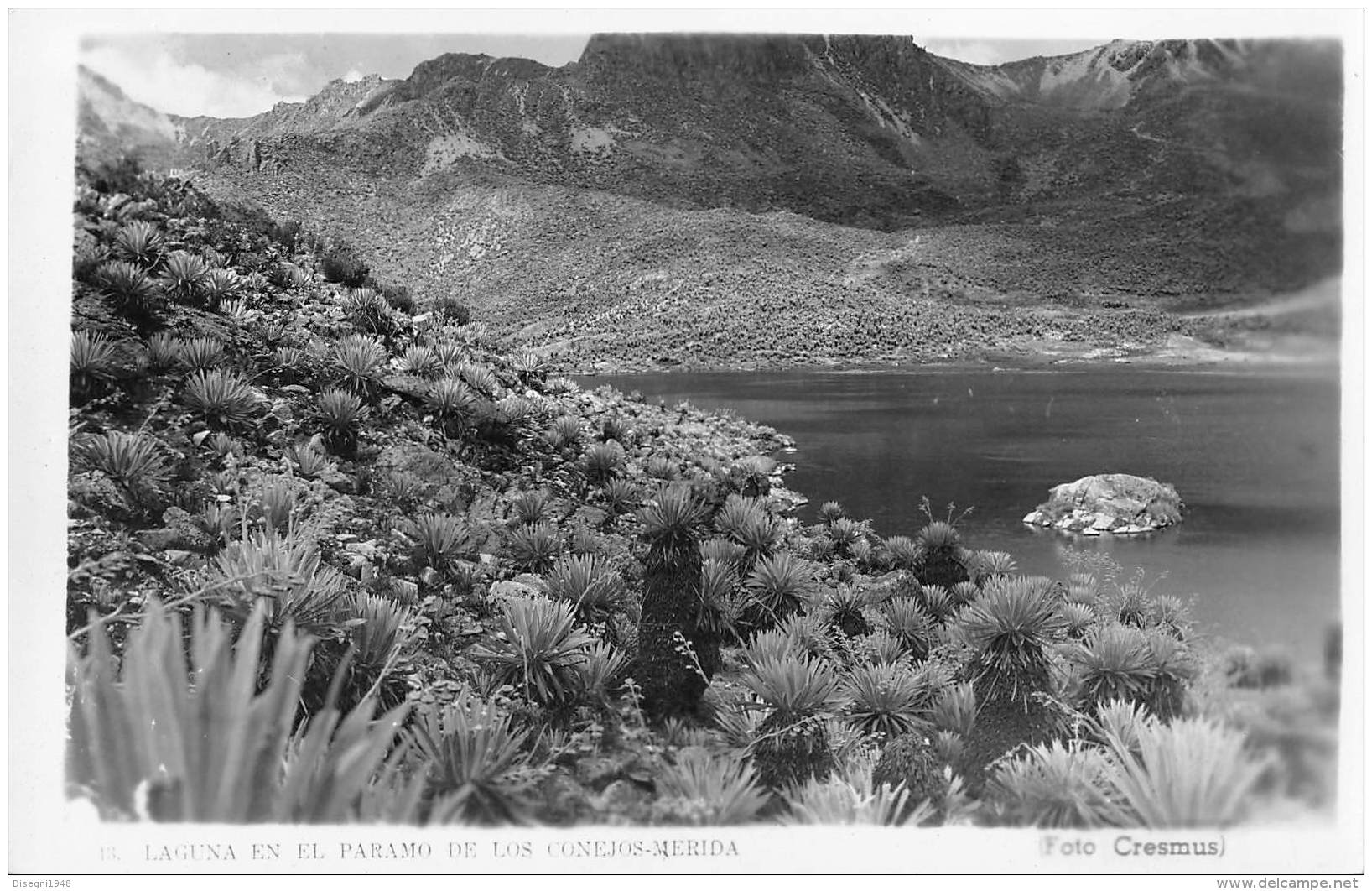 06010 "VENEZUELA - MERIDA - LAGUNA EN EL PARAMO DE LOS  CONEJOS" CART. ILL. ORIG. NON SPEDITA - Venezuela