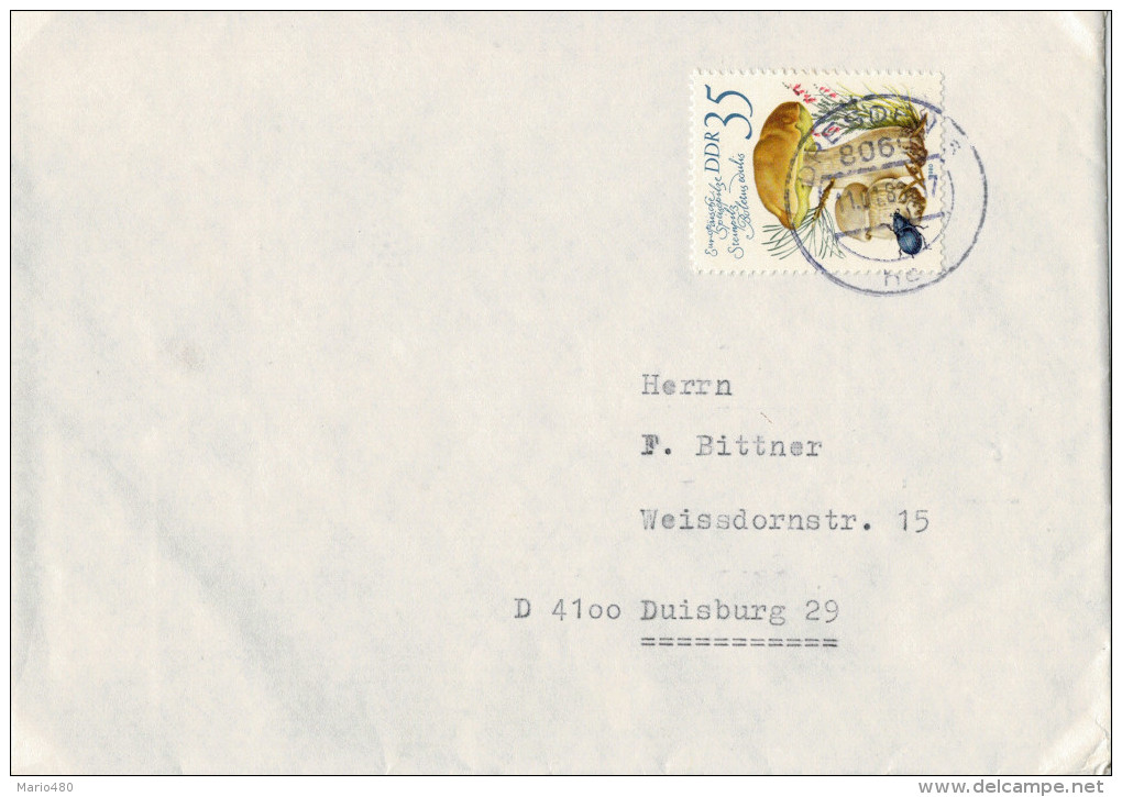 LETTERA  DA  DRESDEN   PER  DUISBURG        (VIAGGIATA) - Other & Unclassified