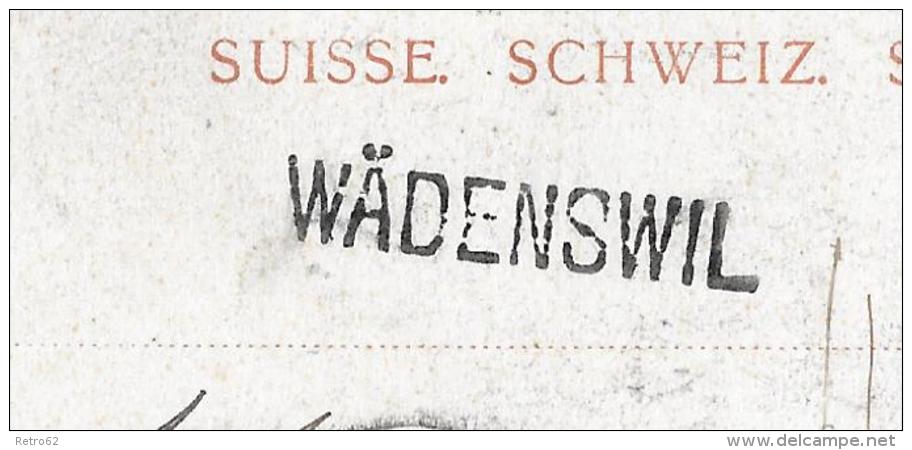 WÄDENSWIL / WAEDENSWEIL &#8594; Sehr Schöner Colorierter Lichtdruck 1904 &#9658; Mit Balkenstempel WÄDENSWIL &#9668; - Wädenswil