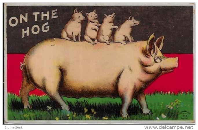 CPA Fantaisie  Cochon Pig Circulé  Position Humaine Gaufré - Schweine