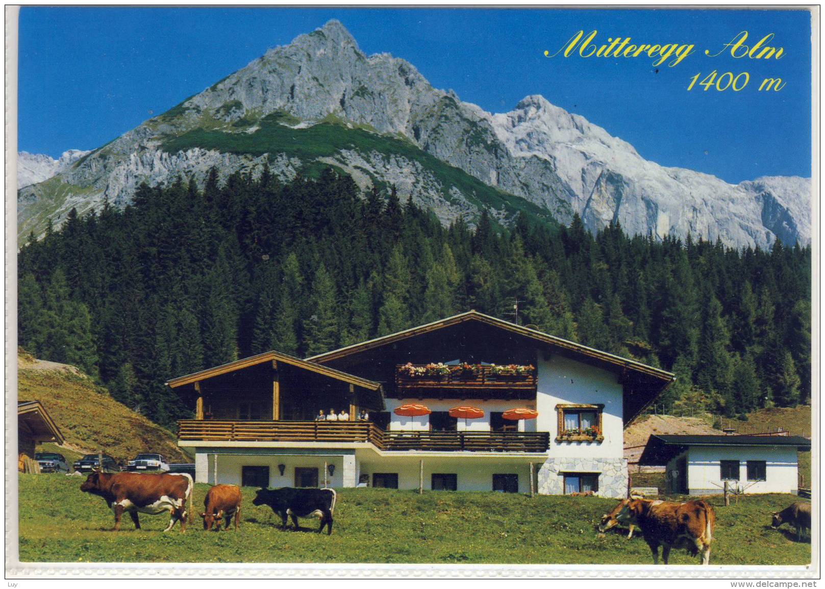 MÜHLBACH Am Hochkönig, MITTERGG - ALM, Rasthütte, Gasthaus - Mühlbach Am Hochkönig