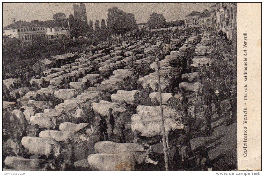 CARTOLINA DI  CASTELFRANCO -TREVISO- MERCATO SETTIMANALE DEL VENERDI' VIAGGIATA 1914 SUPER!! - Treviso