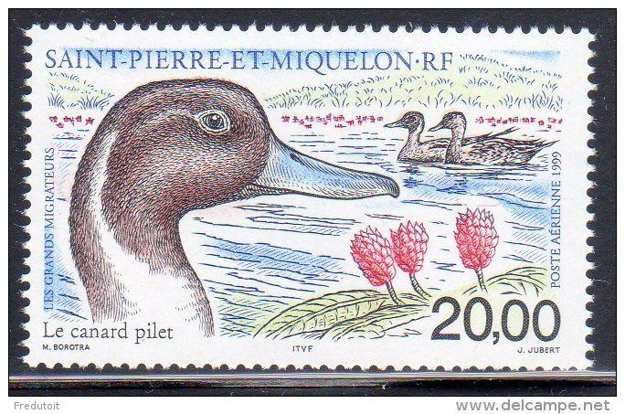 ST PIERRE ET MIQUELON - 1999 - P.A  N° 79   ** Canard - Neufs